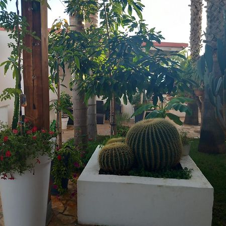 Villa Raggio Di Sole Parcheggio Privato Porto Cesareo Eksteriør billede