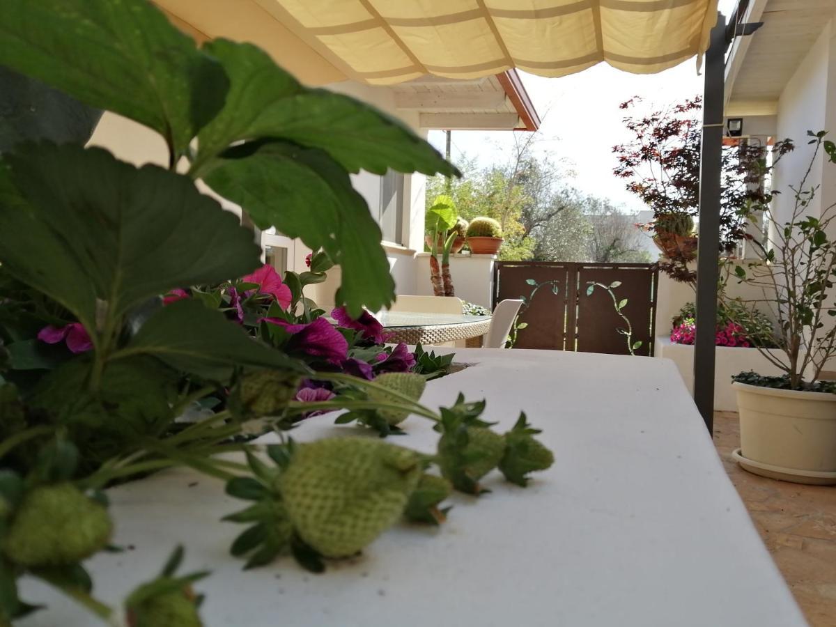 Villa Raggio Di Sole Parcheggio Privato Porto Cesareo Eksteriør billede