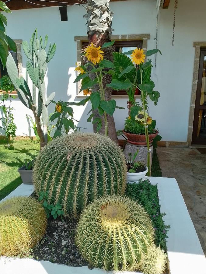 Villa Raggio Di Sole Parcheggio Privato Porto Cesareo Eksteriør billede