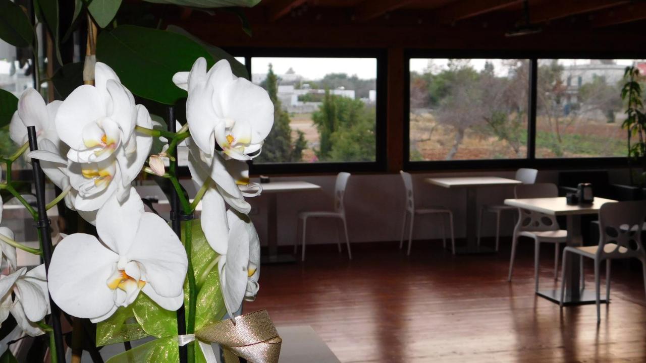 Villa Raggio Di Sole Parcheggio Privato Porto Cesareo Eksteriør billede