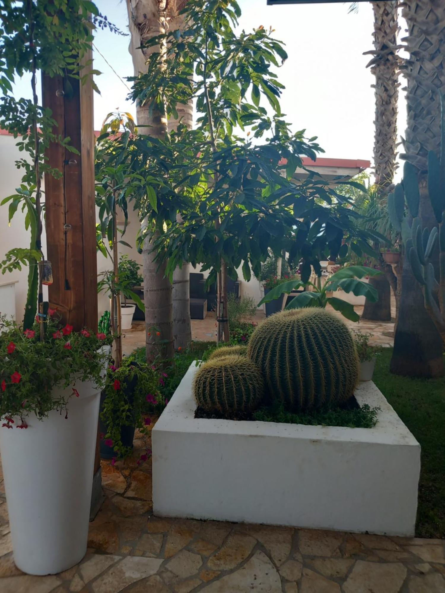 Villa Raggio Di Sole Parcheggio Privato Porto Cesareo Eksteriør billede